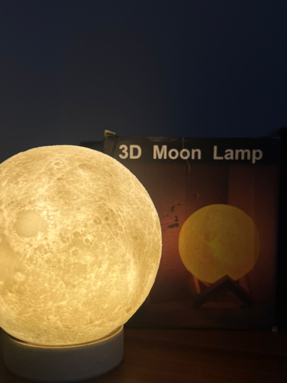 HALO-BLOSSOM AND MOON LAMP COMBO