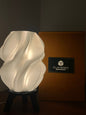 HALO-BLOSSOM AND MOON LAMP COMBO